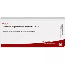 GLANDULA SUPRARENALES dextra GL D 12 ampułek, 10X1 ml