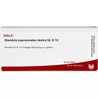 GLANDULA SUPRARENALES dextra GL D 12 ampułek, 10X1 ml