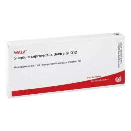 GLANDULA SUPRARENALES dextra GL D 12 ampułek, 10X1 ml