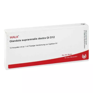 GLANDULA SUPRARENALES dextra GL D 12 ampułek, 10X1 ml GLANDULA SUPRARENALES dextra GL D 12 ampułek, 10X1 ml