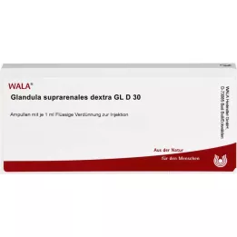 GLANDULA SUPRARENALES dextra GL D 30 ampułek, 10X1 ml