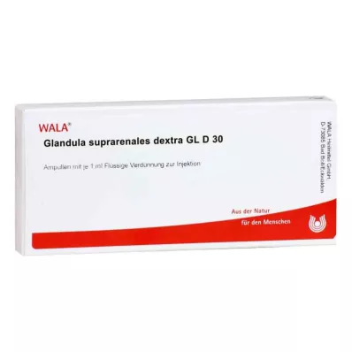 GLANDULA SUPRARENALES dextra GL D 30 ampułek, 10X1 ml GLANDULA SUPRARENALES dextra GL D 30 ampułek, 10X1 ml