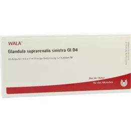 GLANDULA SUPRARENALIS sinistra GL D 4 ampułki, 10X1 ml