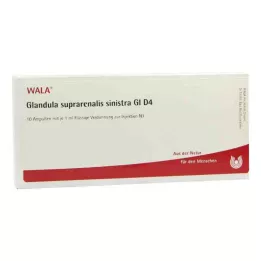 GLANDULA SUPRARENALIS sinistra GL D 4 ampułki, 10X1 ml