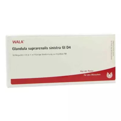 GLANDULA SUPRARENALIS sinistra GL D 4 ampułki, 10X1 ml