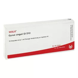 GYRUS cinguli GL D 12 ampułek, 10X1 ml