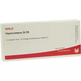 HIPPOCAMPUS GL D 5 ampułek, 10 x 1 ml