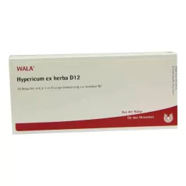 HYPERICUM EX Herba D 12 ampułek, 10 x 1 ml