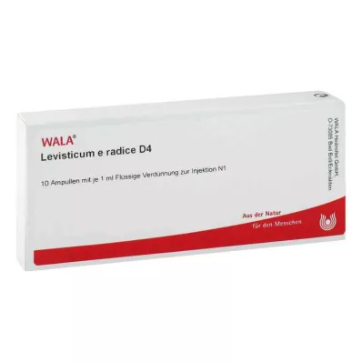 LEVISTICUM E radice D 4 ampułki, 10 x 1 ml