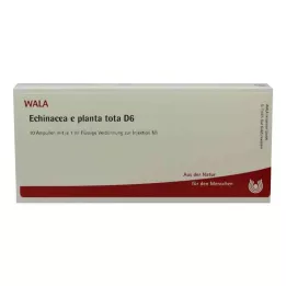 ECHINACEA E planta tota D 6 ampułek, 10X1 ml
