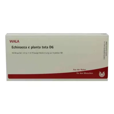 ECHINACEA E planta tota D 6 ampułek, 10X1 ml