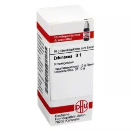 ECHINACEA HAB D 1 globulki, 10 g