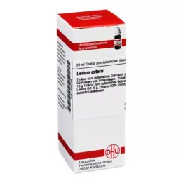 LEDUM EXTERN Nalewka, 20 ml