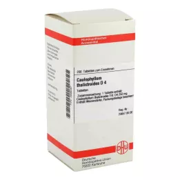 CAULOPHYLLUM THALICTROIDES D 4 tabletki, 200 szt