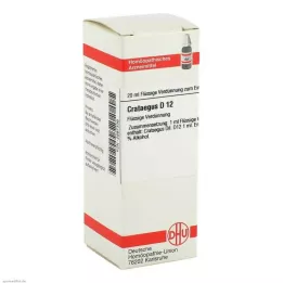 CRATAEGUS D 12 Rozcieńczenie, 20 ml