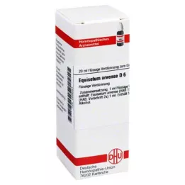 EQUISETUM ARVENSE D 6 Rozcieńczenie, 20 ml