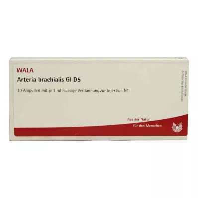ARTERIA BRACHIALIS GL D 5 ampułek, 10 x 1 ml