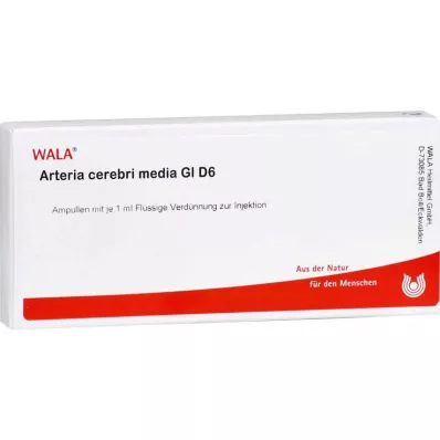 ARTERIA CEREBRI nośnik GL D 6 ampułek, 10 x 1 ml
