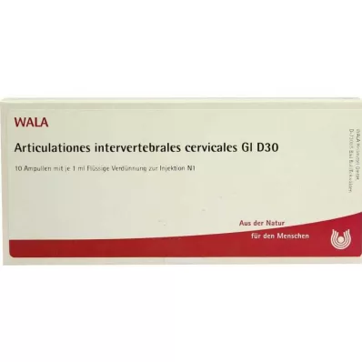 ARTICULATIONES intervertebral.cerv.GL D 30 Amp., 10X1 ml ARTICULATIONES intervertebral.cerv.GL D 30 Amp., 10X1 ml