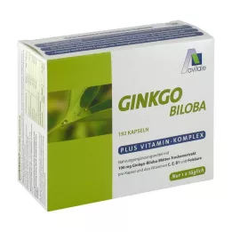 GINKGO 100 mg kapsułki+B1+C+E, 192 szt