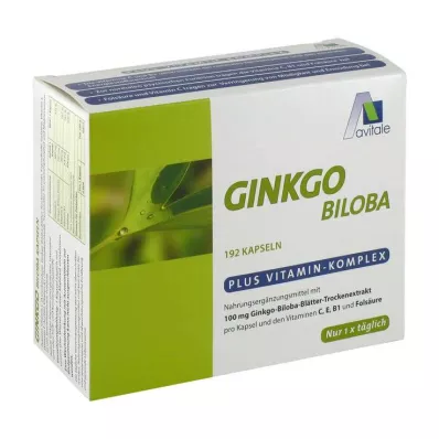 GINKGO 100 mg kapsułki+B1+C+E, 192 szt