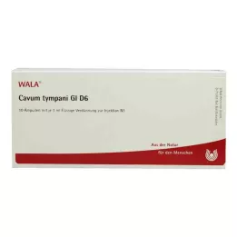 CAVUM tympani GL D 6 ampułek, 10X1 ml