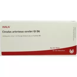 CIRCULUS arteriosus cerebri GL D 6 ampułek, 10X1 ml