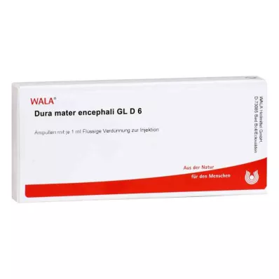 DURA MATER encephali GL D 6 ampułek, 10X1 ml DURA MATER encephali GL D 6 ampułek, 10X1 ml