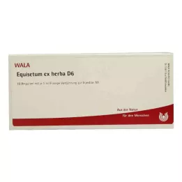 EQUISETUM EX Herba D 6 ampułek, 10 x 1 ml