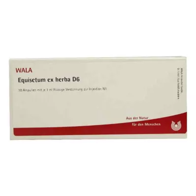 EQUISETUM EX Herba D 6 ampułek, 10 x 1 ml EQUISETUM EX Herba D 6 ampułek, 10 x 1 ml