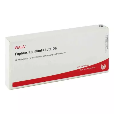 EUPHRASIA E planta tota D 6 ampułek, 10X1 ml