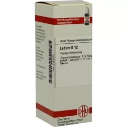 LEDUM D 12 Rozcieńczenie, 20 ml