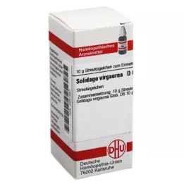 SOLIDAGO VIRGAUREA D 6 kulek, 10 g