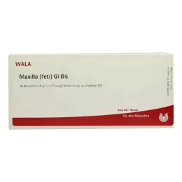 MAXILLA feti GL D 5 ampułek, 10X1 ml