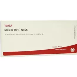 MAXILLA feti GL D 6 ampułek, 10X1 ml