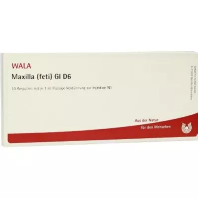 MAXILLA feti GL D 6 ampułek, 10X1 ml MAXILLA feti GL D 6 ampułek, 10X1 ml