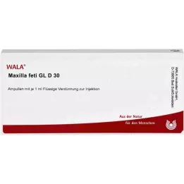 MAXILLA feti GL D 30 ampułek, 10X1 ml