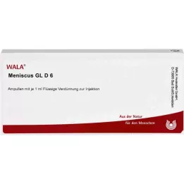 MENISCUS GL D 6 ampułek, 10 x 1 ml