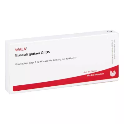 MUSCULI GLUTAEI GL D 5 ampułek, 10 x 1 ml MUSCULI GLUTAEI GL D 5 ampułek, 10 x 1 ml