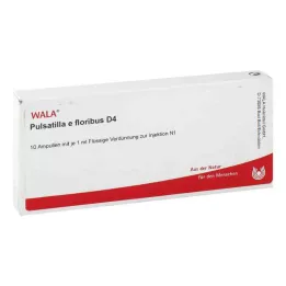 PULSATILLA E floribus D 4 ampułki, 10 x 1 ml