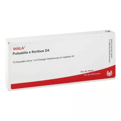 PULSATILLA E floribus D 4 ampułki, 10 x 1 ml