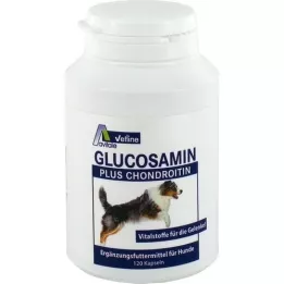 GLUCOSAMIN+CHONDROITIN Kapsułki dla psów, 120 szt