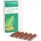 LECITHIN KAPSELN biolog.alsitan, 60 szt