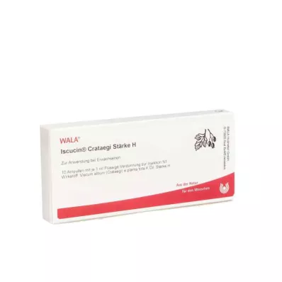 ISCUCIN crataegi Starch H Ampułki, 10 x 1 ml ISCUCIN crataegi Starch H Ampułki, 10 x 1 ml