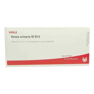 Ampułki Vesica Urinaria Gl D12 (10x1 ml) Ampułki Vesica Urinaria Gl D12 (10x1 ml)