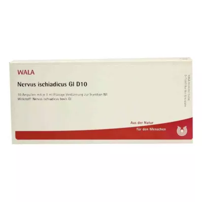 Nerw kulszowy Gl D10 ampułki (10x1 ml) Nerw kulszowy Gl D10 ampułki (10x1 ml)