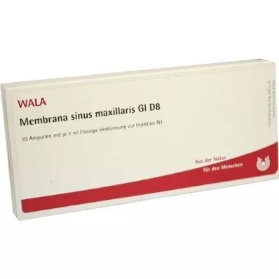 MEMBRANA sinus maxillaris GL D 8 ampułek, 10X1 ml