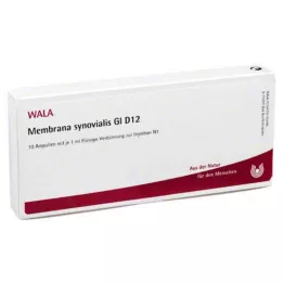 MEMBRANA synovialis GL D 12 ampułek, 10X1 ml