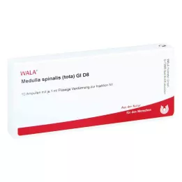 MEDULLA SPINALIS tota GL D 8 Ampułki, 10X1 ml