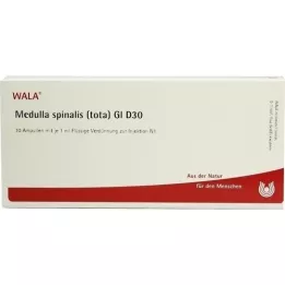 MEDULLA SPINALIS tota GL D 30 ampułek, 10X1 ml